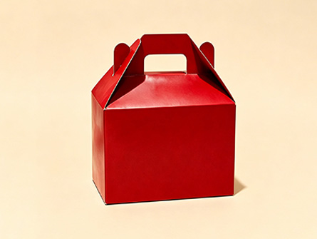 Customized cartoon-style portable hamburger box