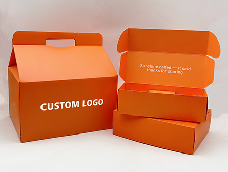 Food Delivery Boxes Set