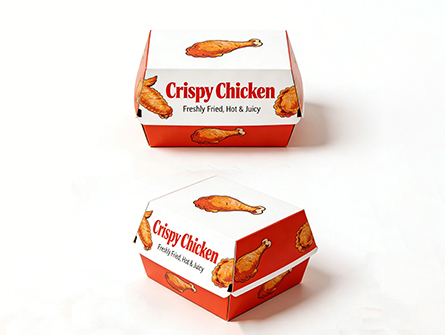 Fast Food Box Container and Bag