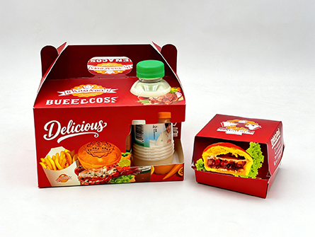Biodegradable Fried Chicken Burger French Fries Box