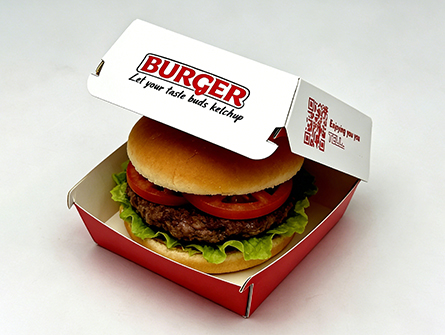 Packaging Box Disposable for Food