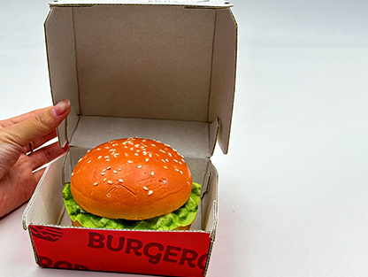 Packaging Box Disposable for Food