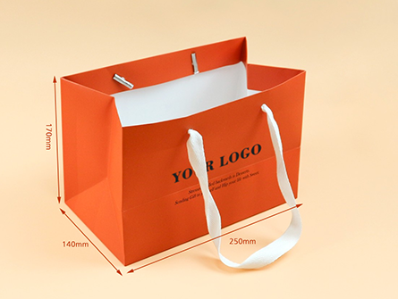 Luxury Laminated Paper Bag