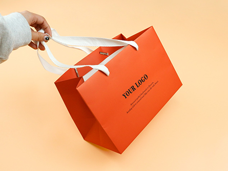 Luxury Laminated Paper Bag