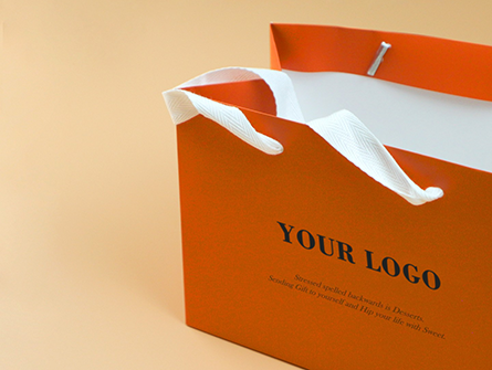 Luxury Laminated Paper Bag