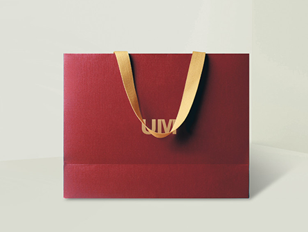 Custom Paper Gift Bag With Handle